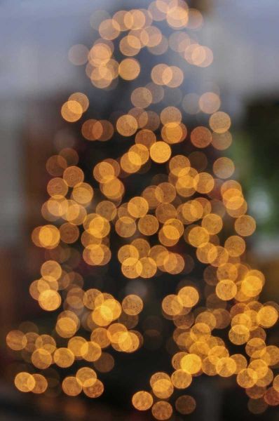 OR, Portland Lights on holiday Christmas tree